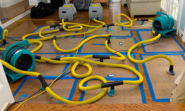 Professional Sewage Cleanup technician working in Grelton, OH